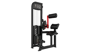 坐式背肌訓練器